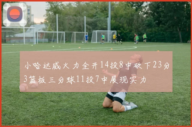 小哈达威火力全开14投8中砍下23分3篮板三分球11投7中展现实力